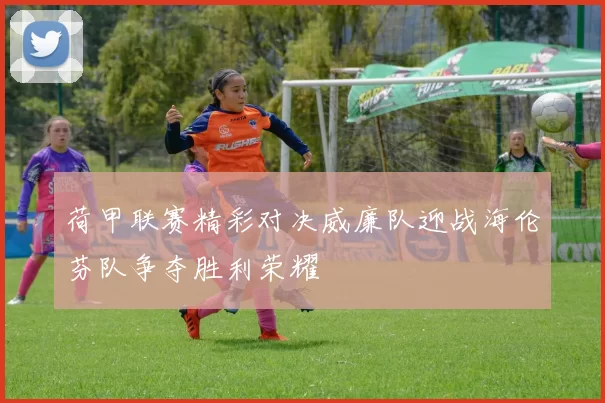 荷甲联赛精彩对决威廉队迎战海伦芬队争夺胜利荣耀